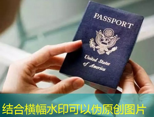 进入汉德欧移民官网